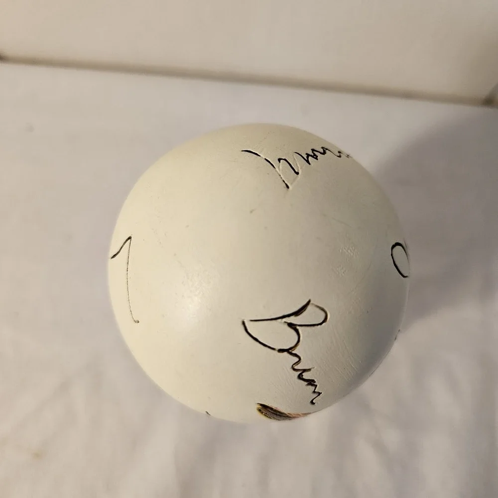 Painted European Robin Bird Decorative Egg Vintage Cottagecore Spring 3'